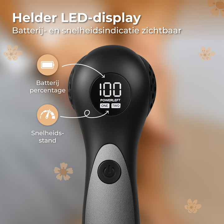 Elektrische Eeltverwijderaar