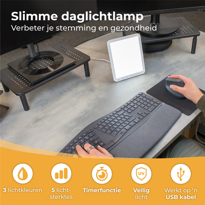 Daglichtlamp